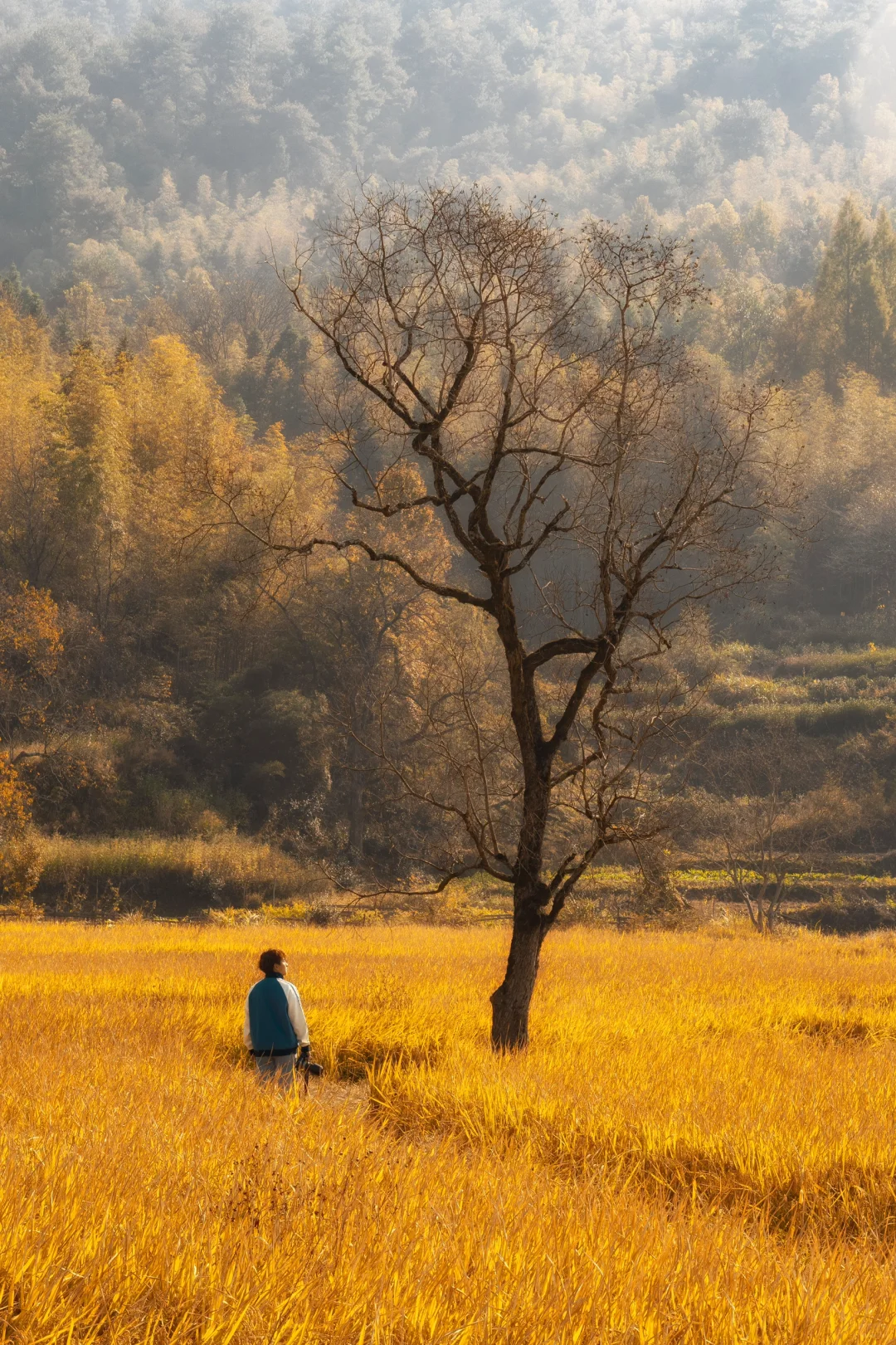 推荐🔟个国内宝藏赏秋地，真的不输国外……