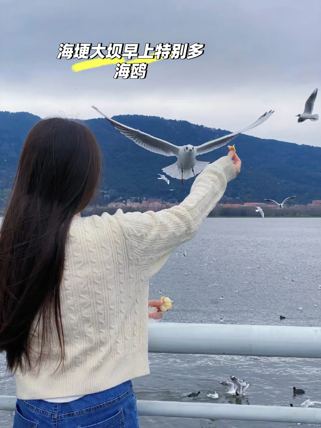 广州飞云南，六天五夜，两人五千省钱攻略