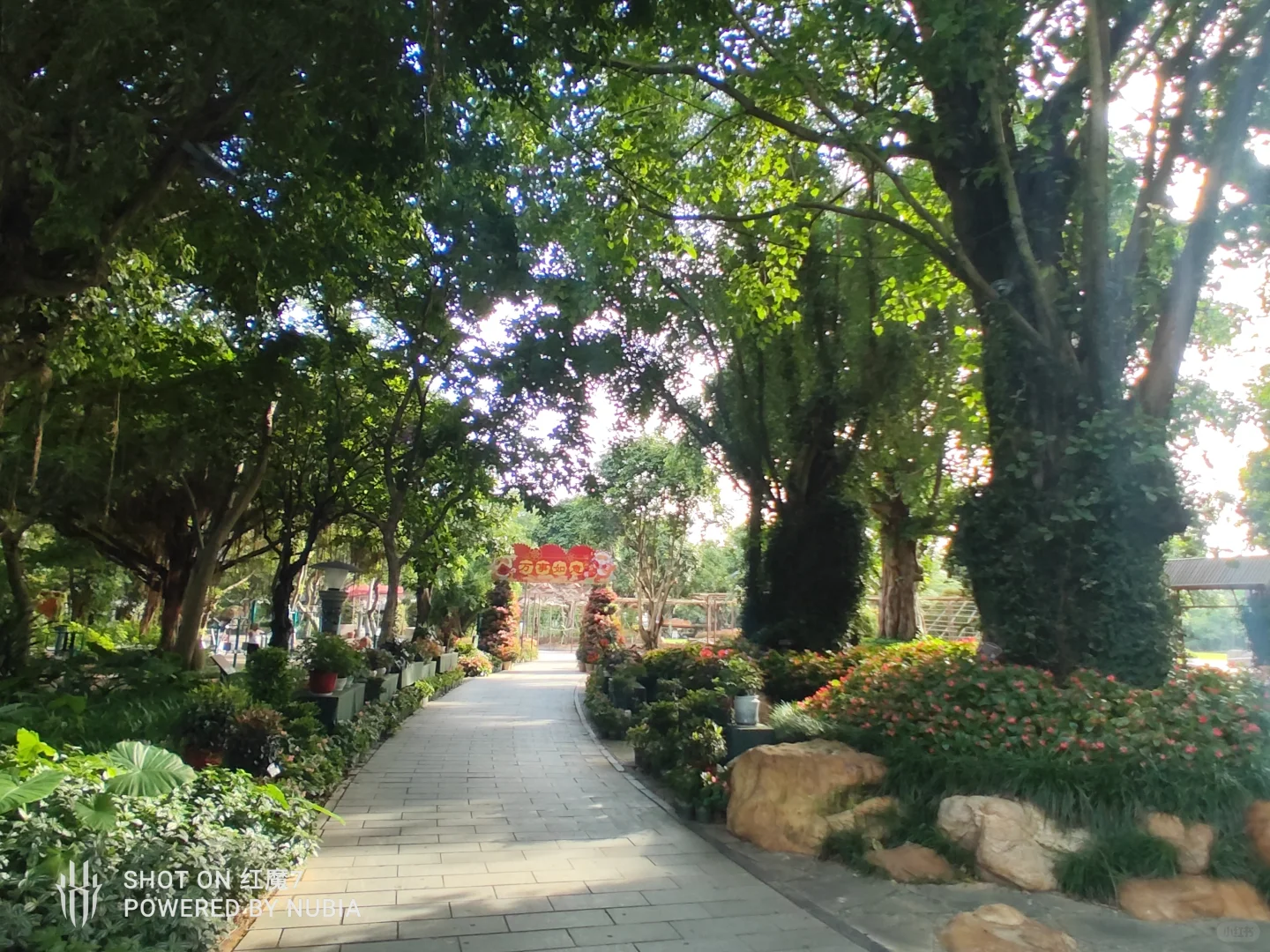 南宁行记（四）