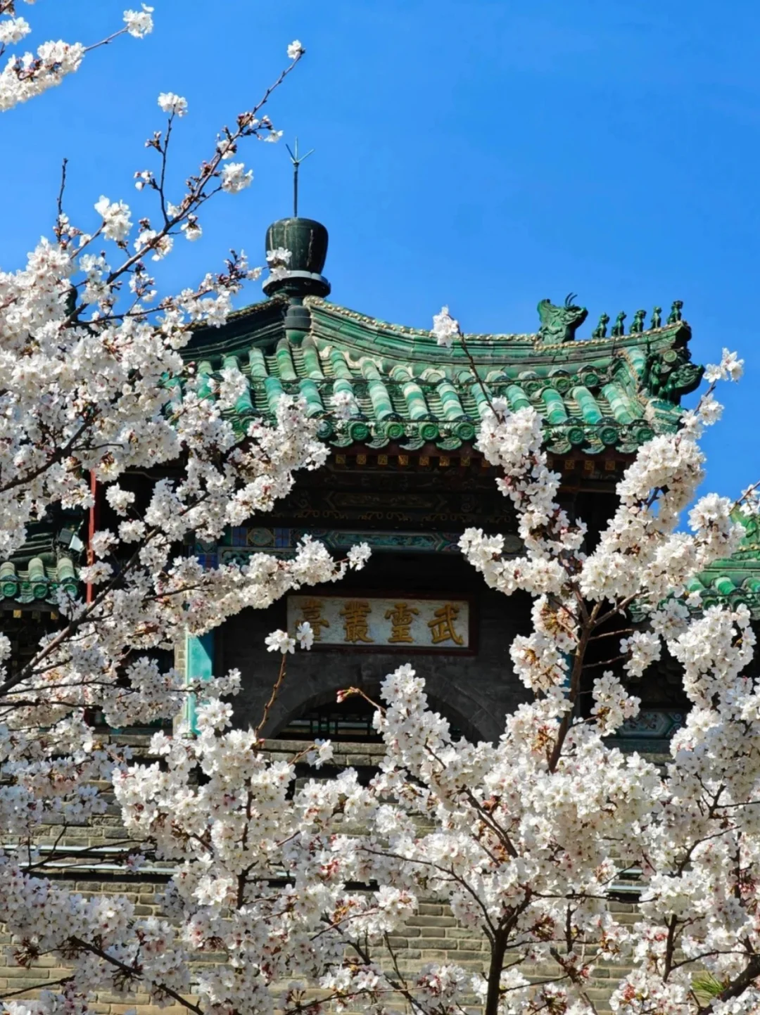 邯郸1日游攻略！本地人带玩响堂山⛰