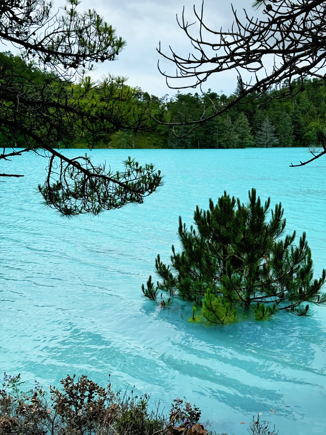 来了好几次云南还是玩不够。