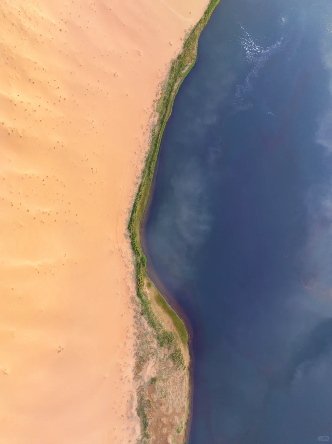 迄今为止,我最喜欢的沙漠出现了~