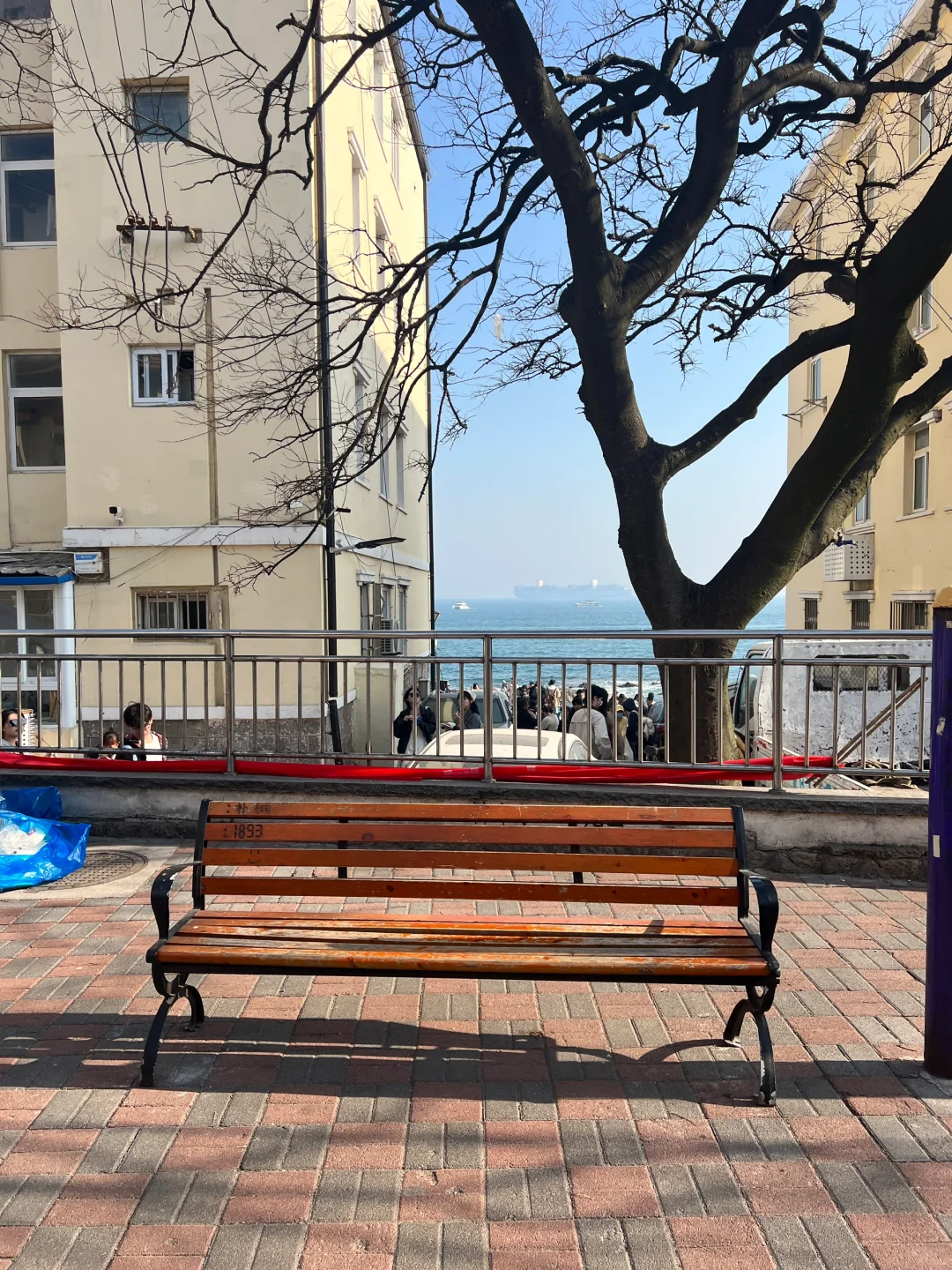 推荐！青岛免费景点琴屿路孤独的树/空景自取