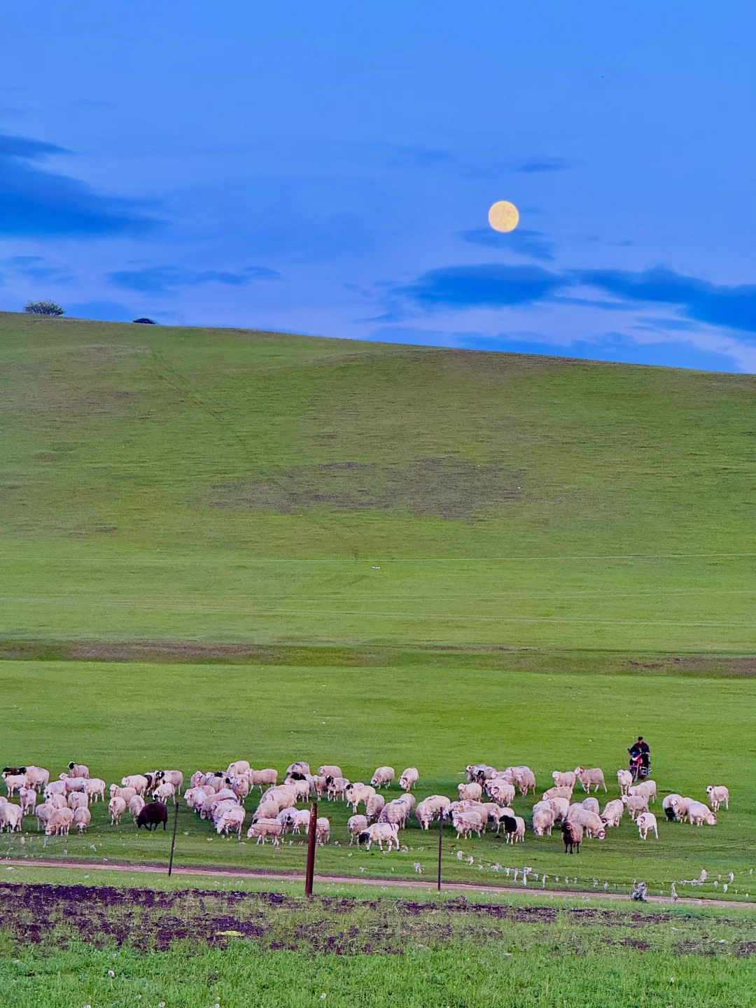 这才是live图的意义｜呼伦贝尔18个封神时刻