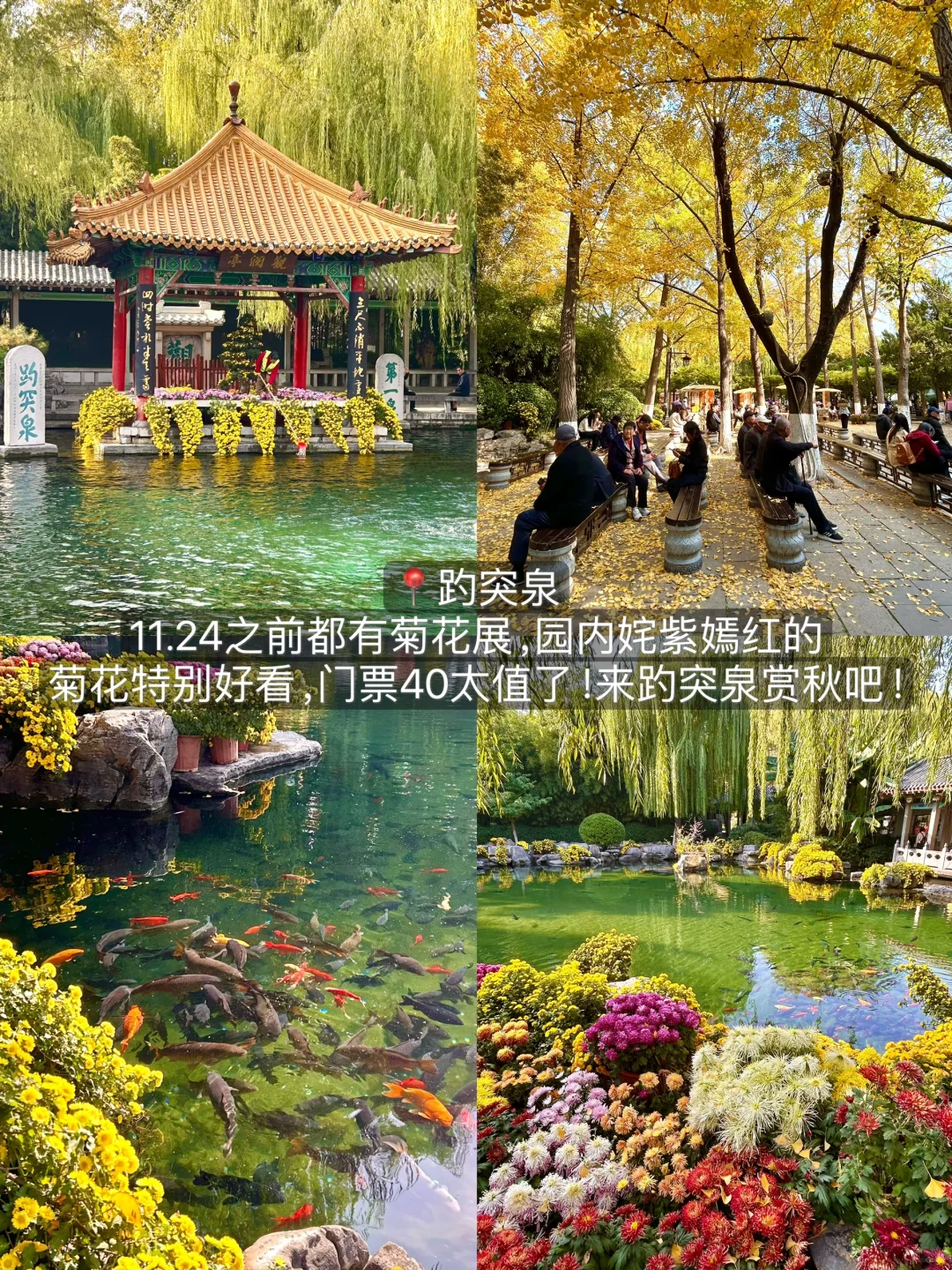 济南会惩罚每个不做攻略就来的人！！！