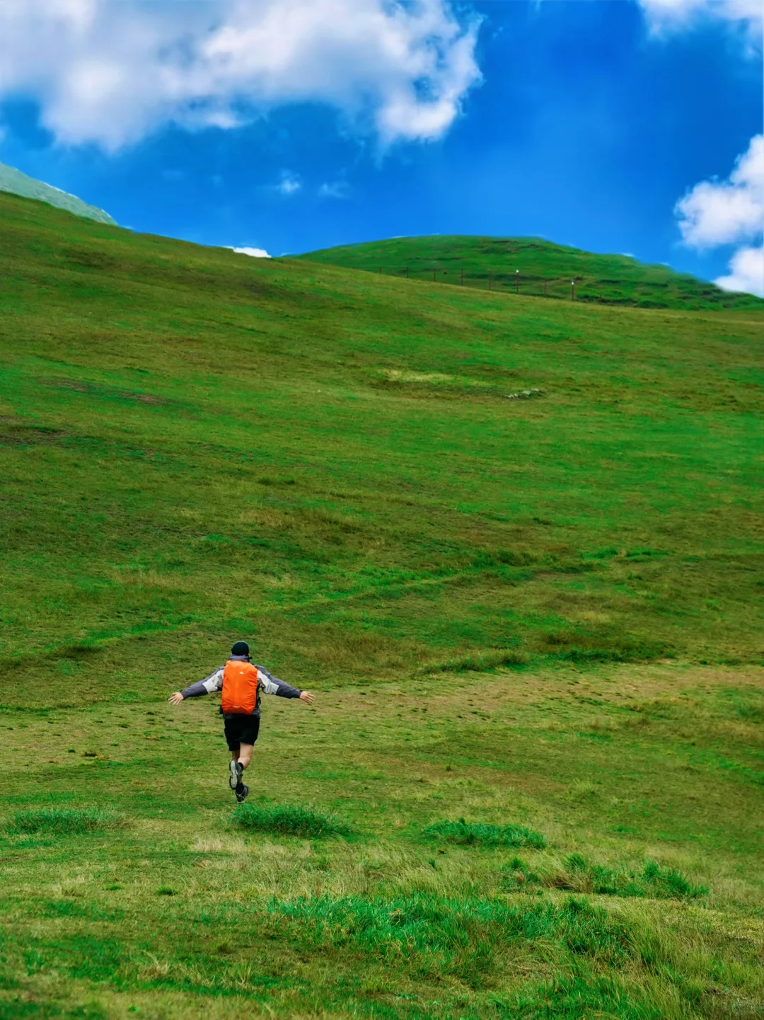 美哭了!我闯入湖南版宫崎骏的童话世界