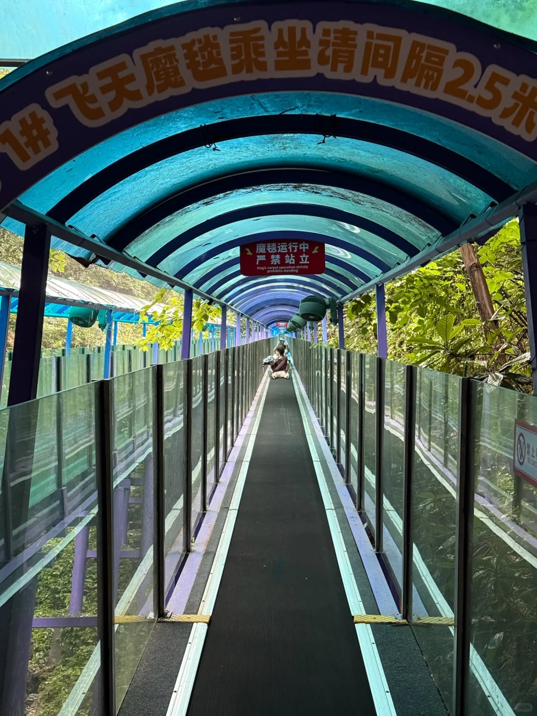 还有谁没去过桐庐天子地山野乐园的❗️❗️❗️