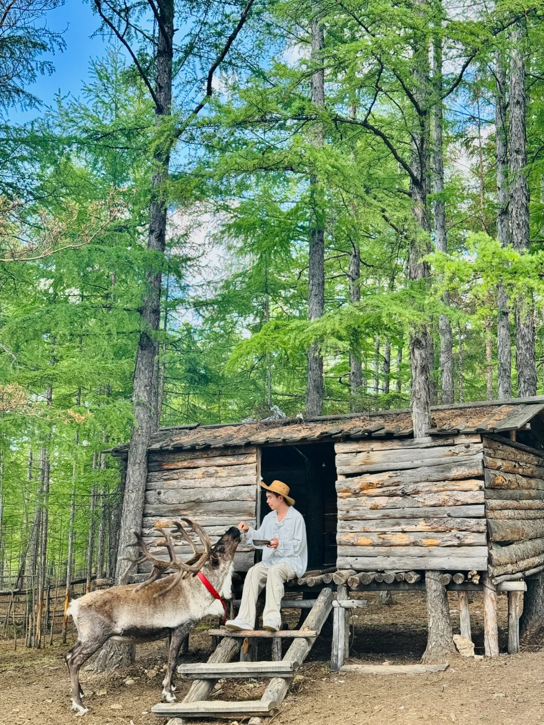 这才是live图的意义｜呼伦贝尔18个封神时刻