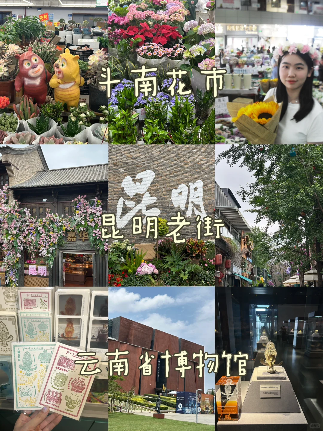 云南7天6晚旅游攻略⛅️