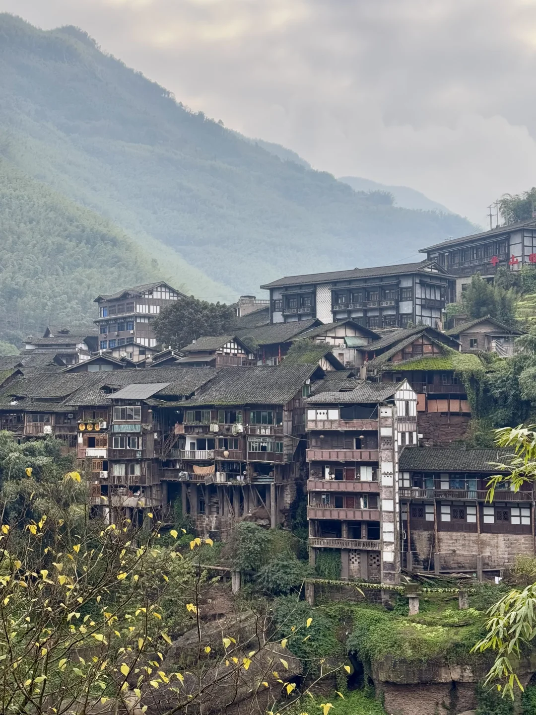 为了这一组live!我飞了一趟贵州!值得吗?