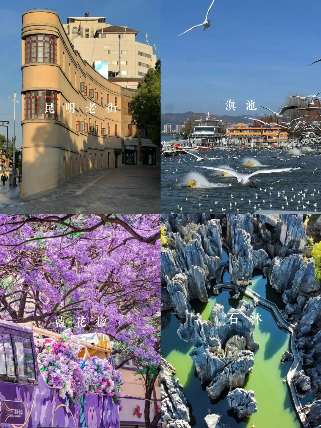 🌈总要去趟云南吧 | 昆大丽超详攻略