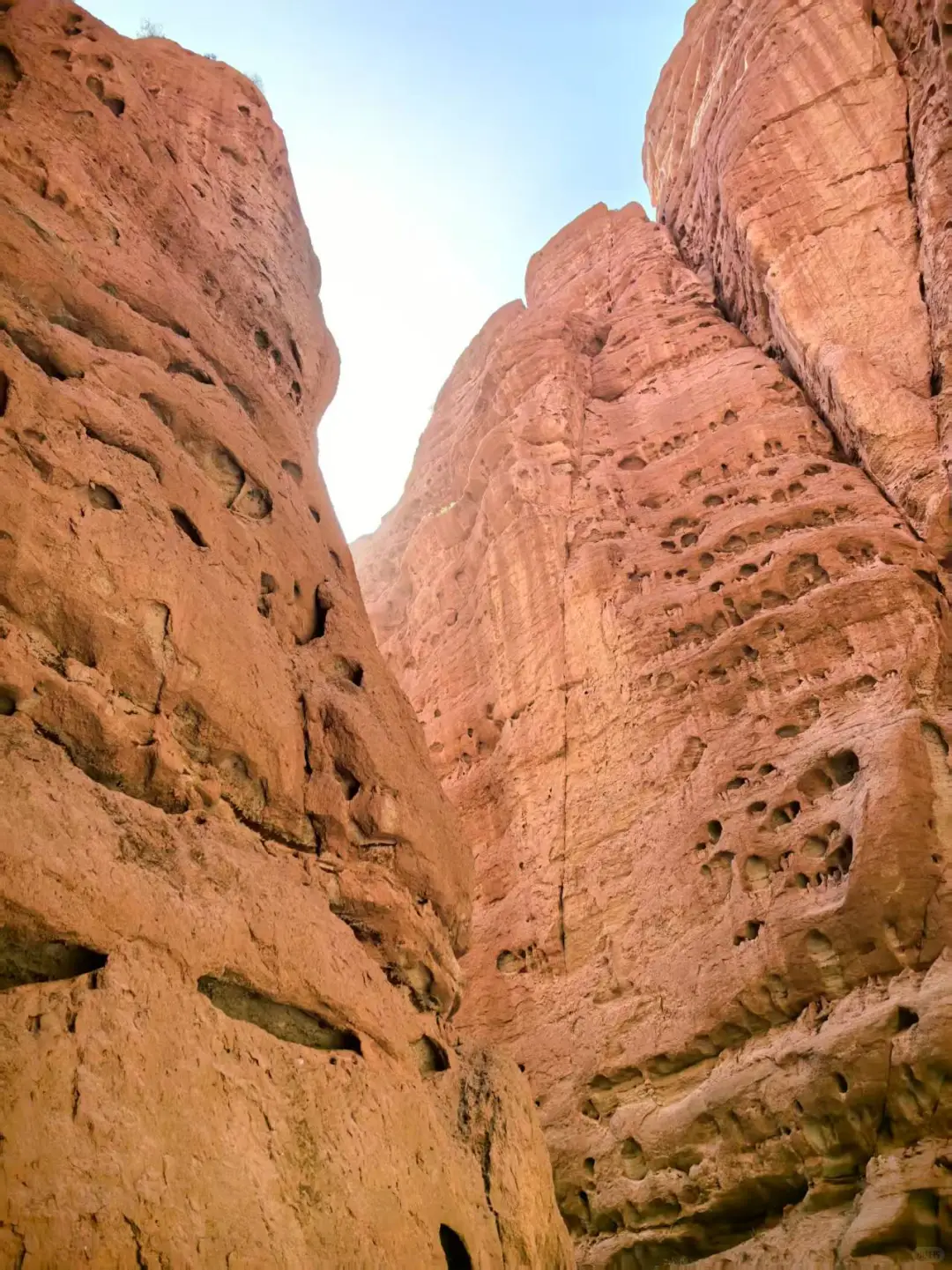 救命！这峡谷让 “胆小鬼” 变勇士