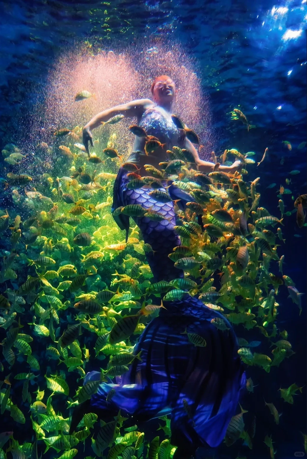 青岛3日游攻略｜干货满满‼️自用攻略‼️