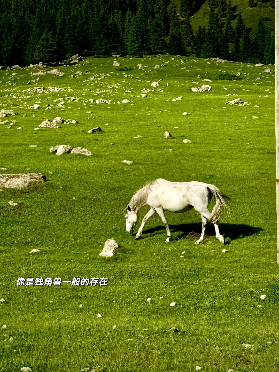 人生不过三万天，自由一天是一天🧚