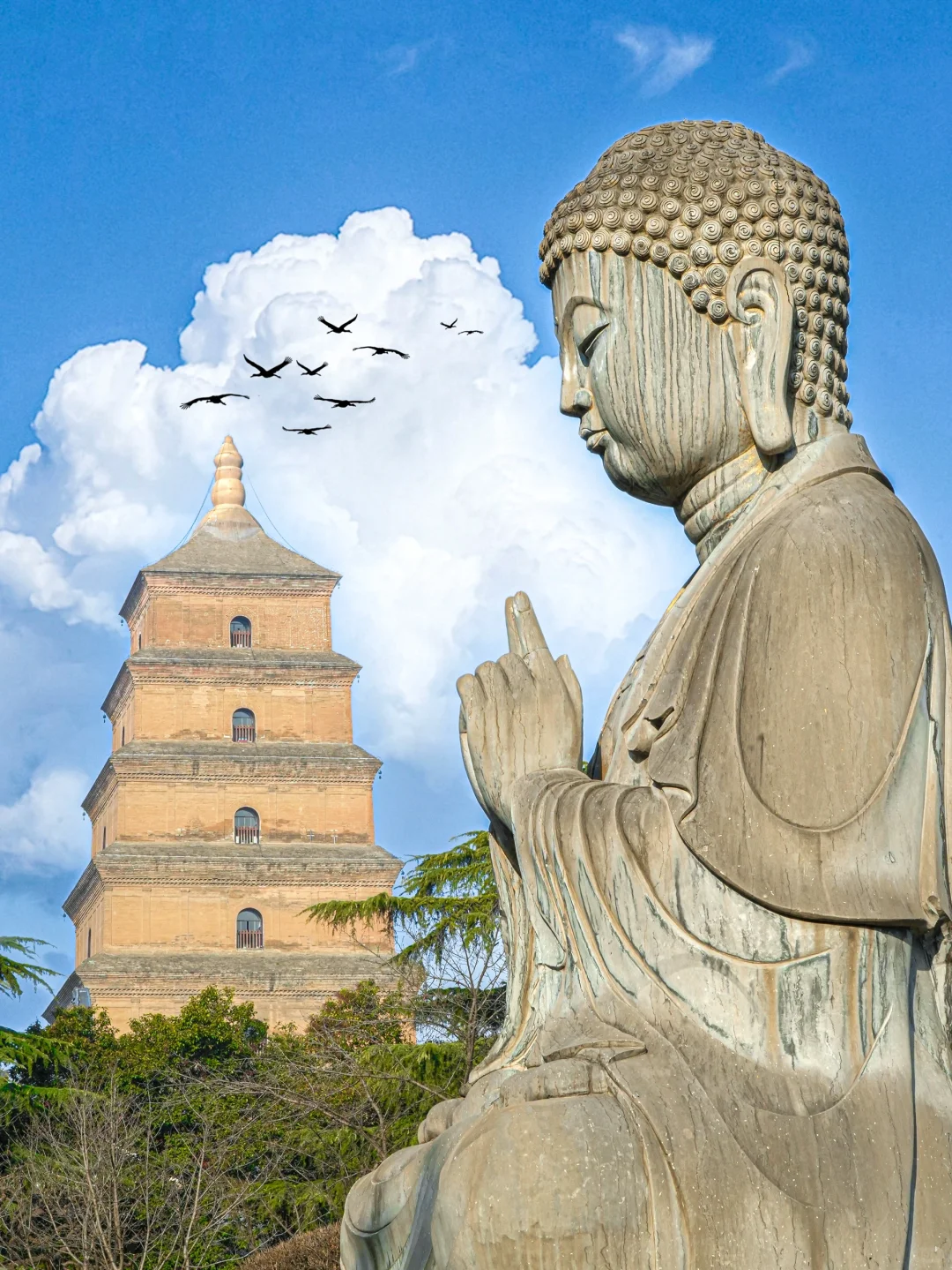 西安📍为了这❶❽张图，我特意飞了趟西安…