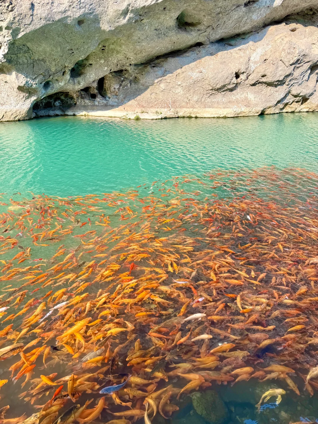 在小红书跟风最成功的一次………！！