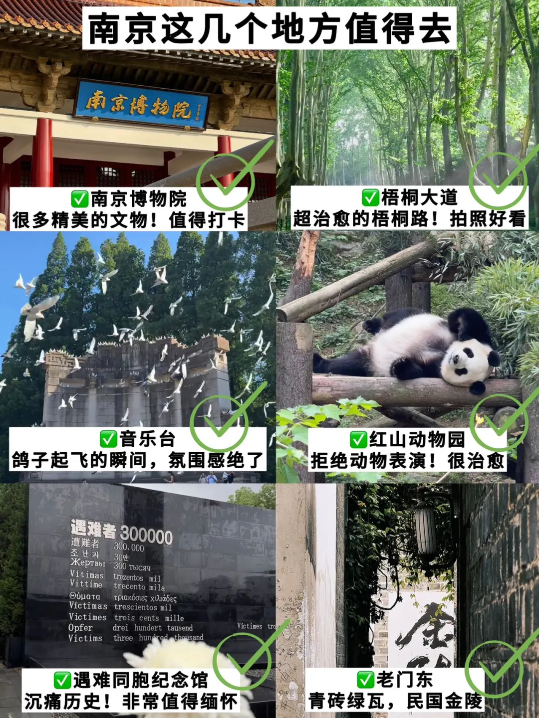 6.22📍南京刚回，后悔没带的东西……
