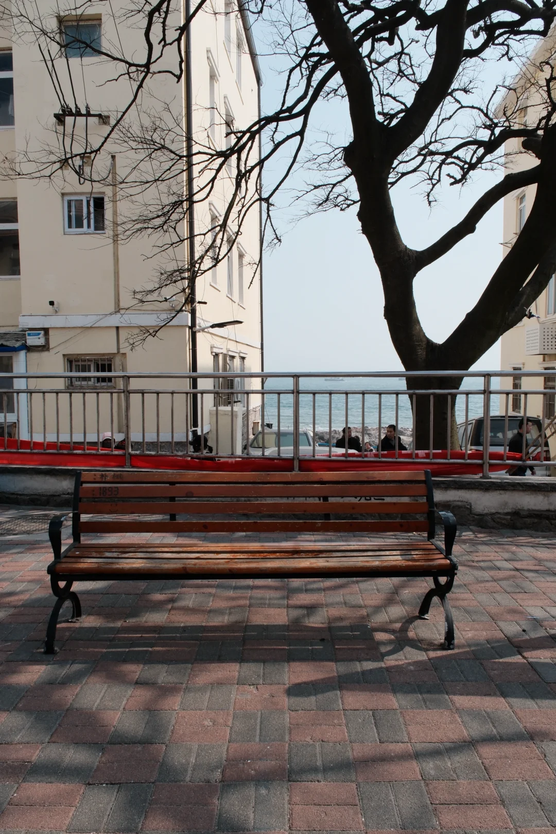 推荐！青岛免费景点琴屿路孤独的树/空景自取