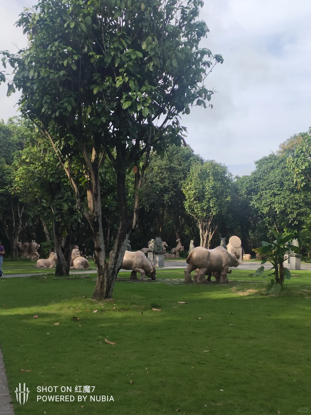 南宁行记（四）