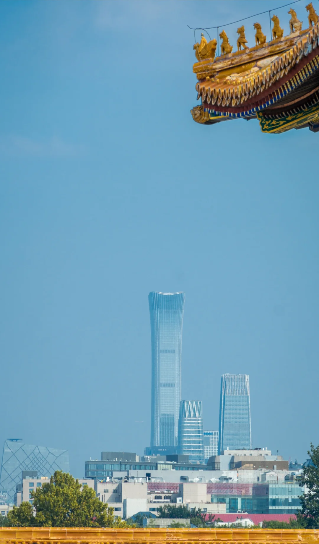 北京会惩罚每一个不提前预约的P人...