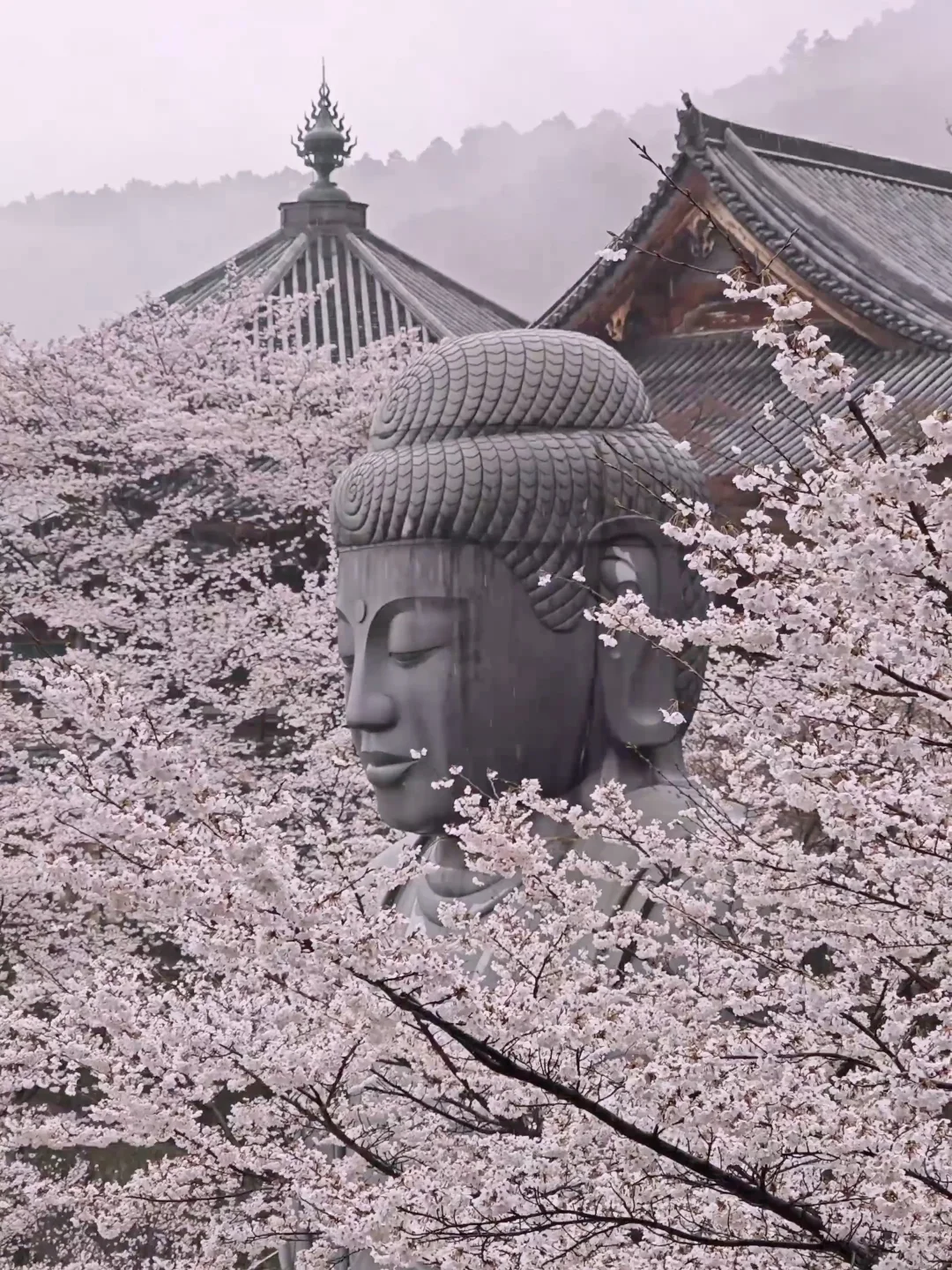 天啊‼️我很少用「震撼」形容一个地方‼️