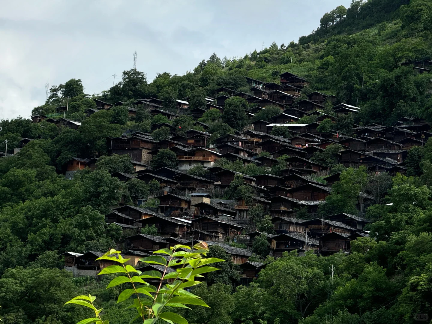 来了好几次云南还是玩不够。