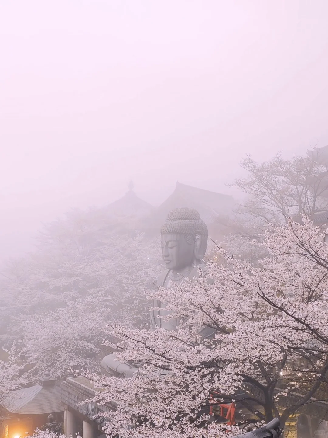 天啊‼️我很少用「震撼」形容一个地方‼️