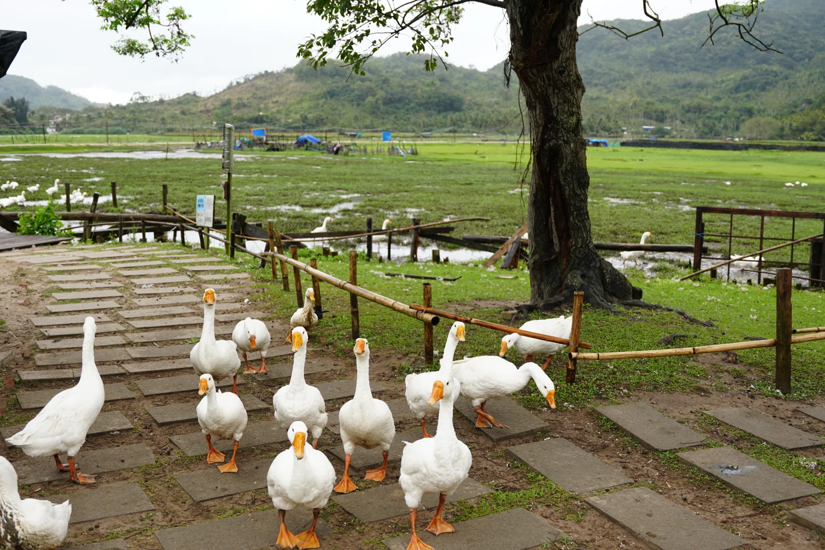 总结了上半年大概去过的地方