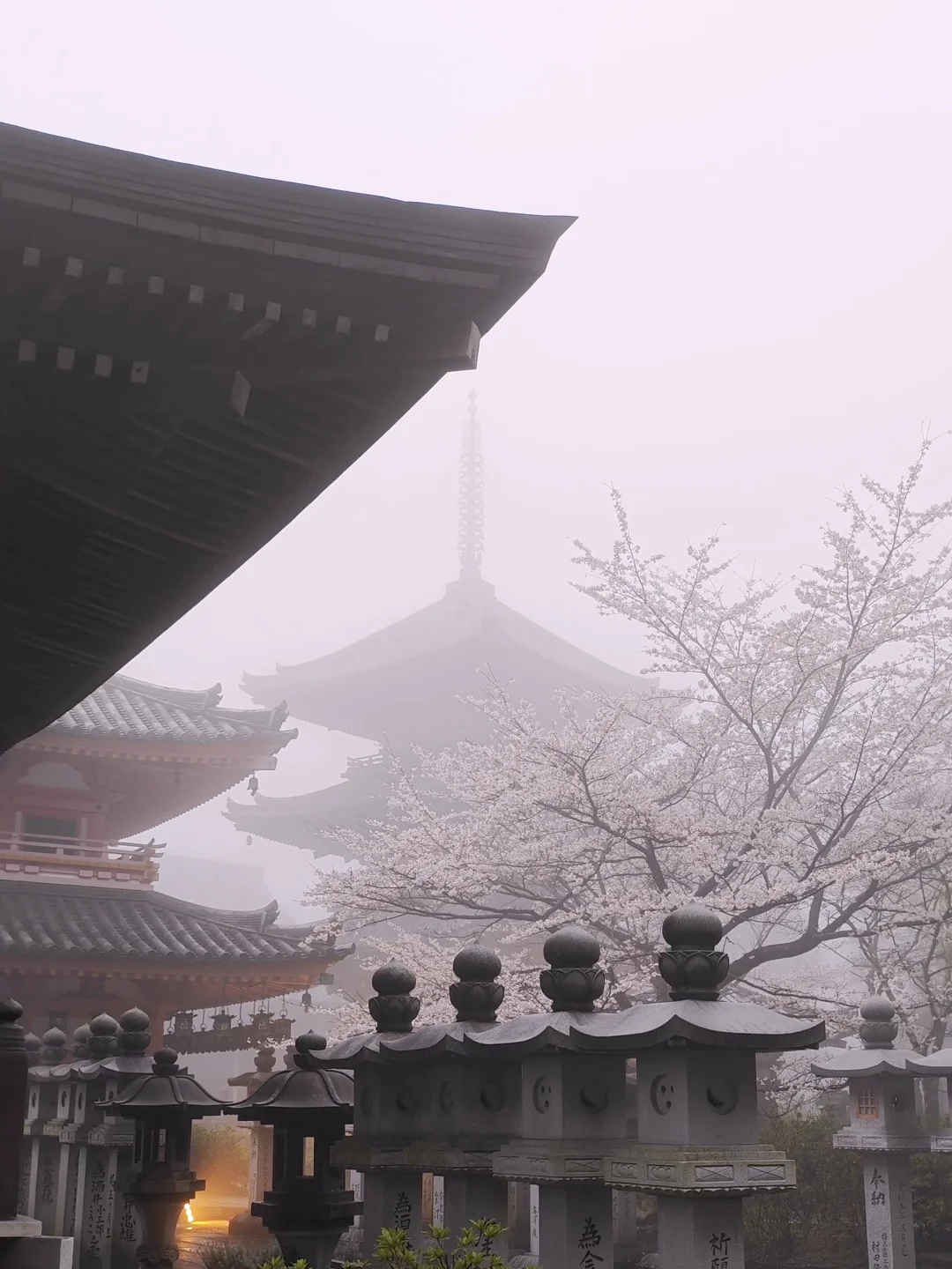 天啊‼️我很少用「震撼」形容一个地方‼️