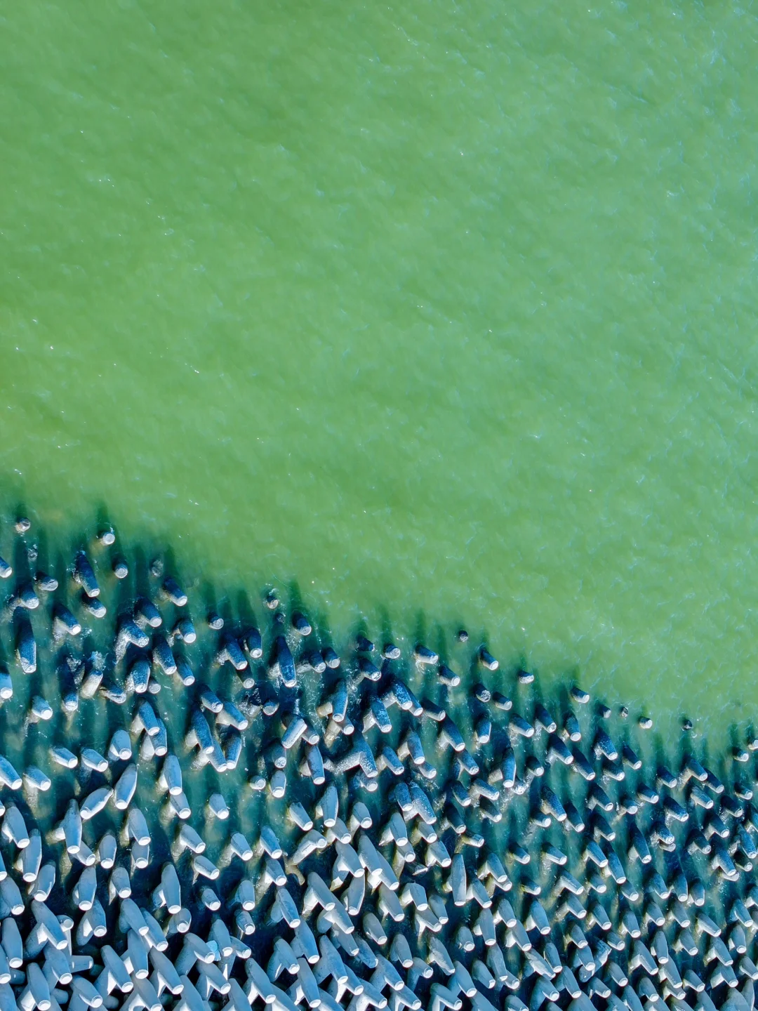 今年去过最冷门的城市！藏不住了！🌊