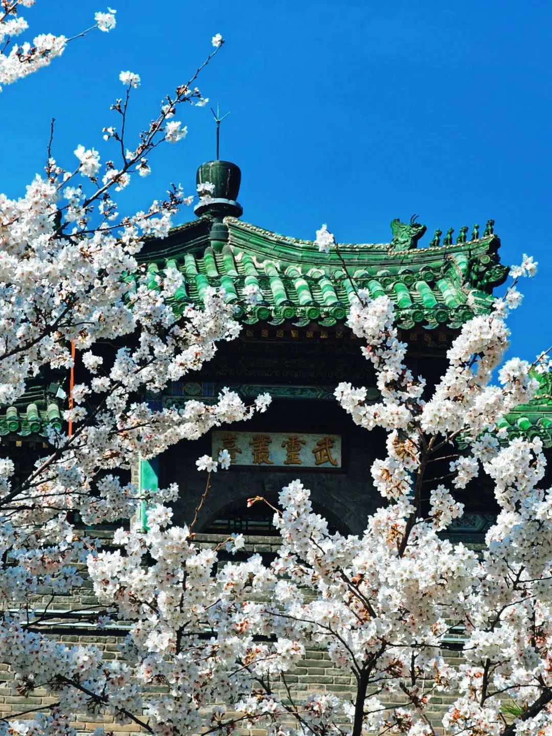 邯郸必打卡景点路线种草🎉