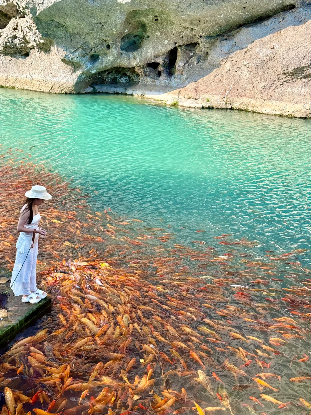 在小红书跟风最成功的一次………！！
