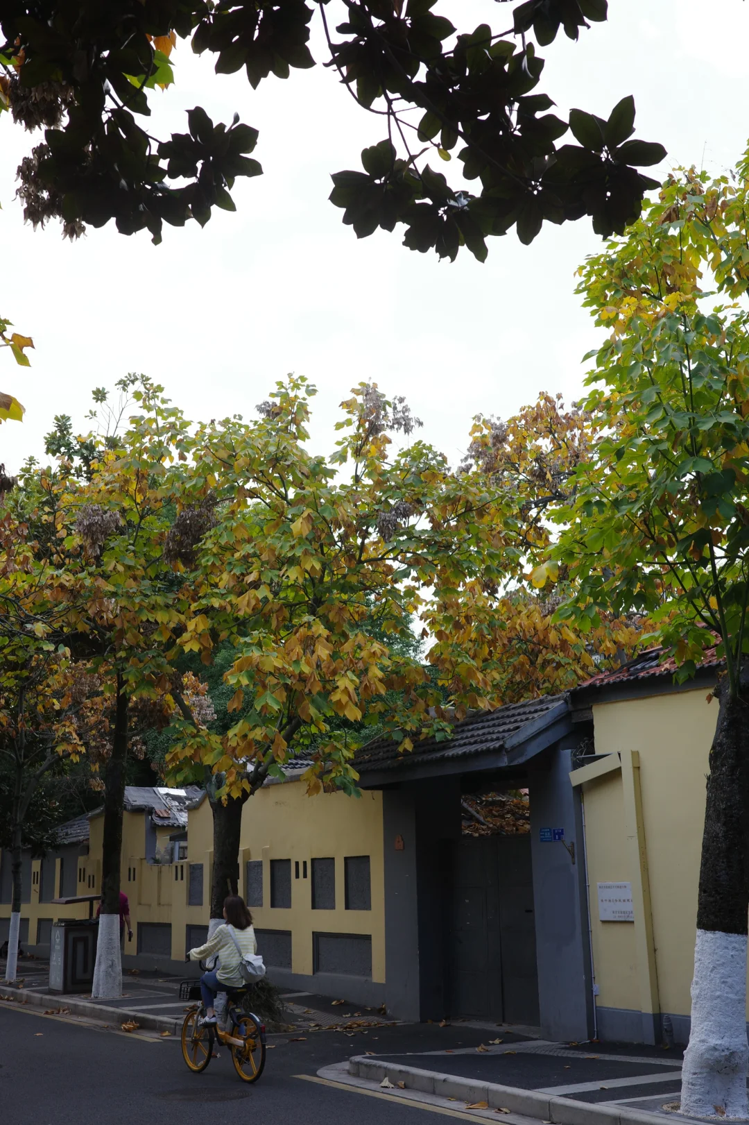 国内适合女生solotrip城市推荐（欢迎补充2