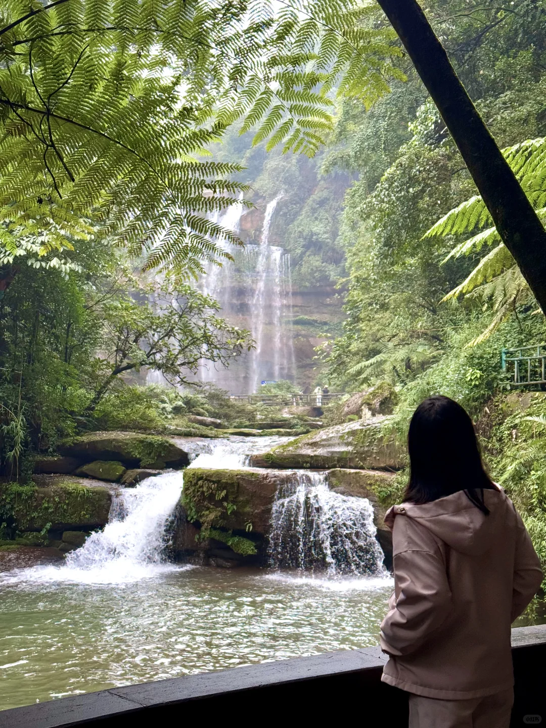 为了这一组live!我飞了一趟贵州!值得吗?