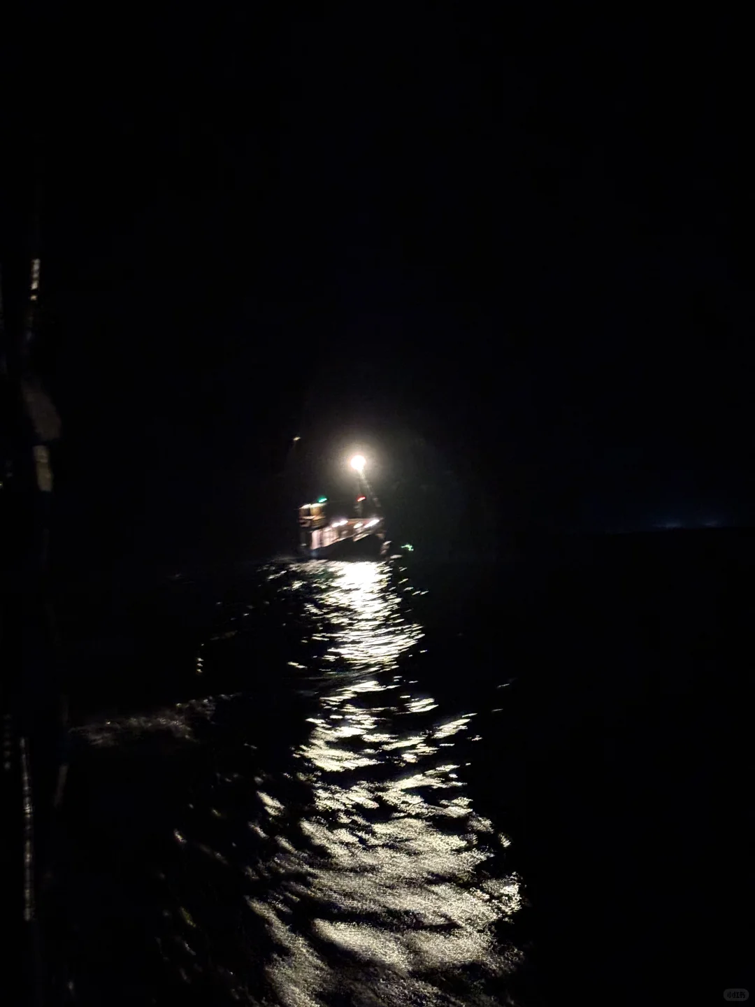 ⚠️科莫多半日游踩大坑🙂‍↔️一定注意安全‼️