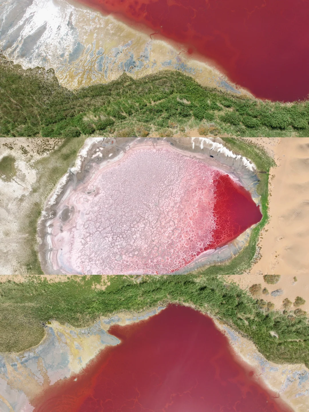 迄今为止,我最喜欢的沙漠出现了~