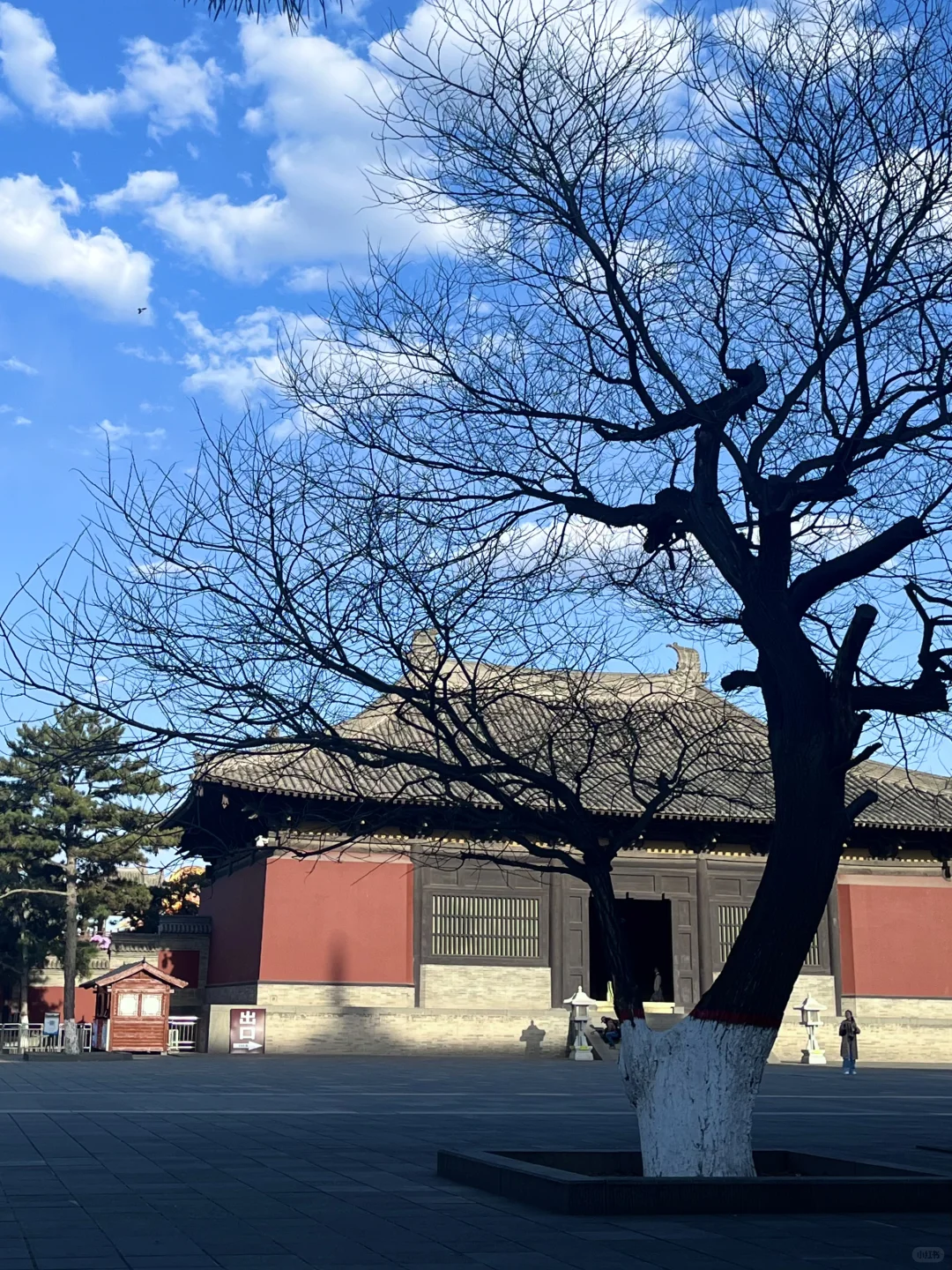 国内适合女生solotrip城市推荐（欢迎补充2