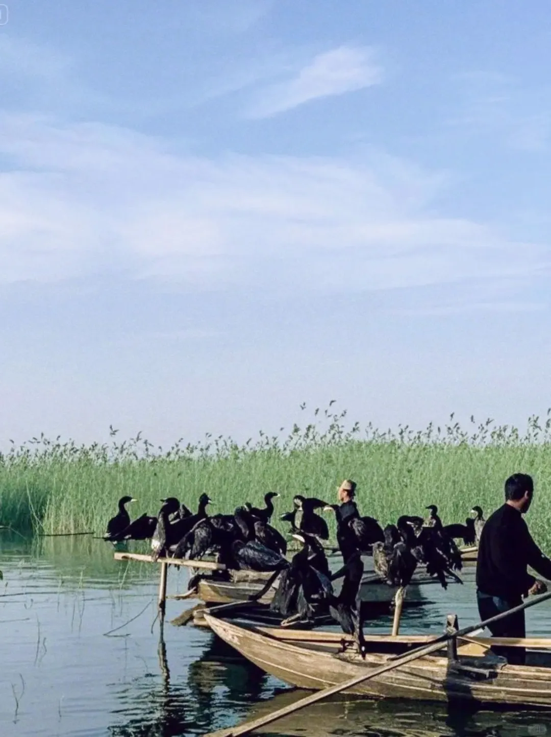 天津→河北！小众地玩法