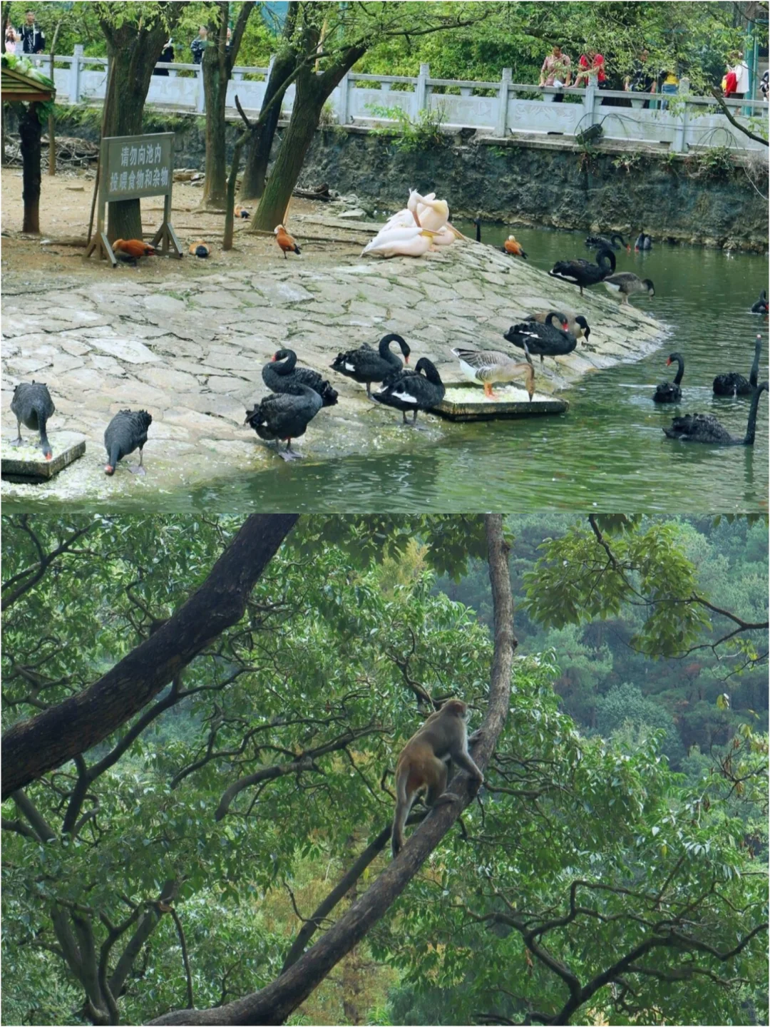 百看不厌的山水风光