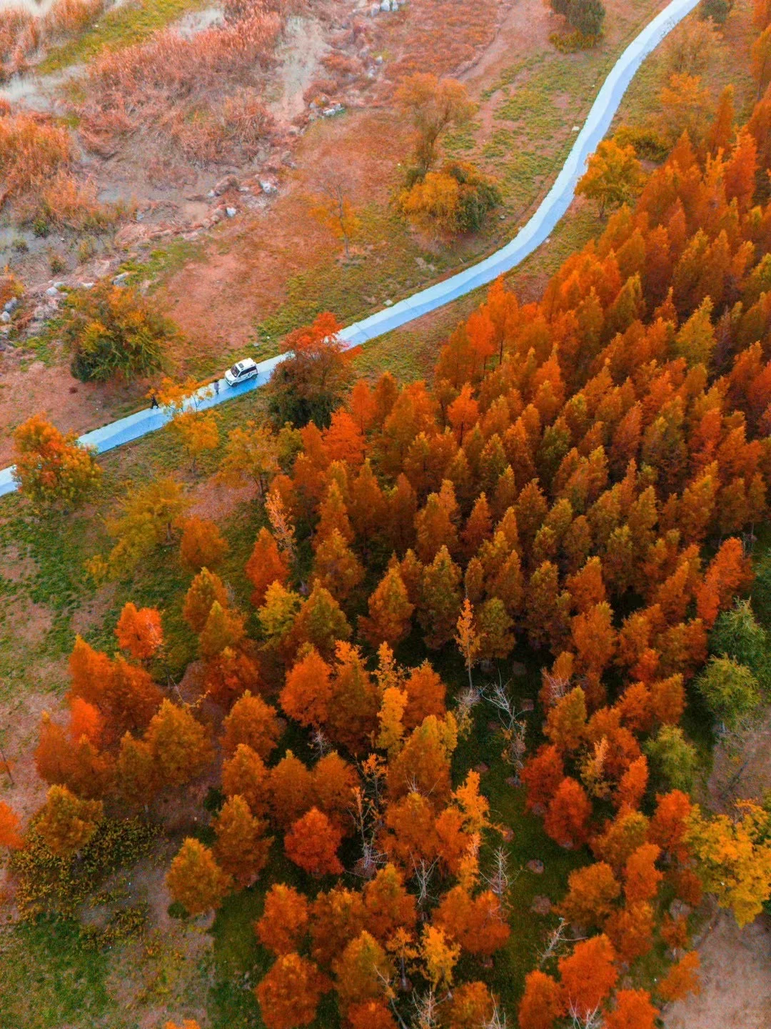 推荐🔟个国内宝藏赏秋地，真的不输国外……