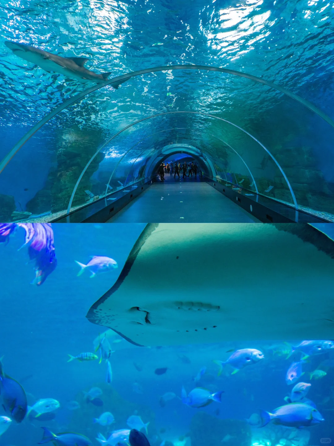 福建人嘴真严,这么好玩的游乐园现在才知道!