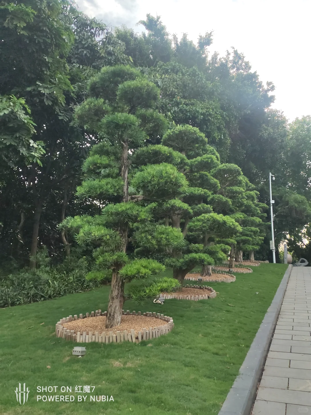 南宁行记（四）