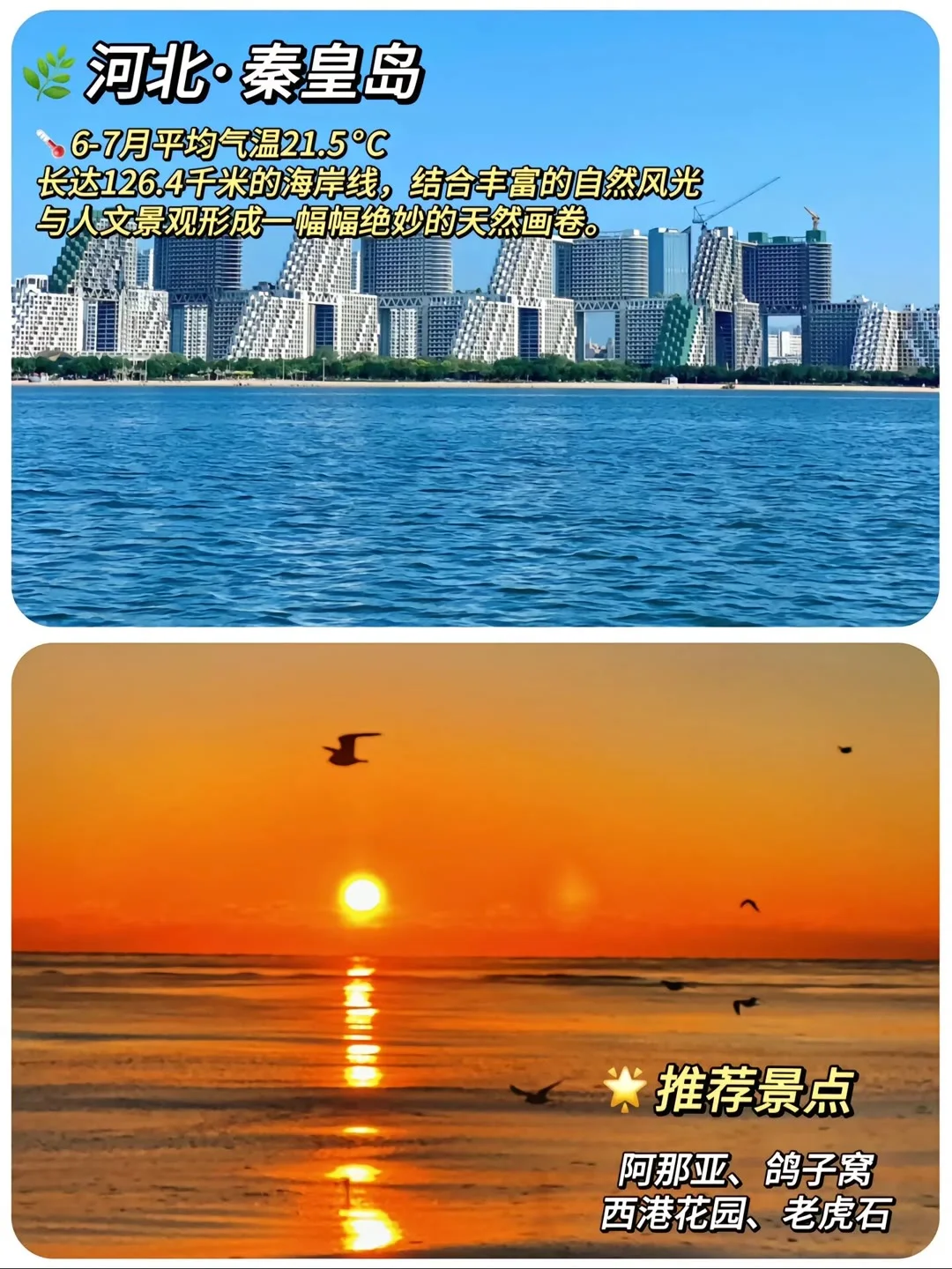 救命！这8个避暑地把夏天拿捏死了🍃