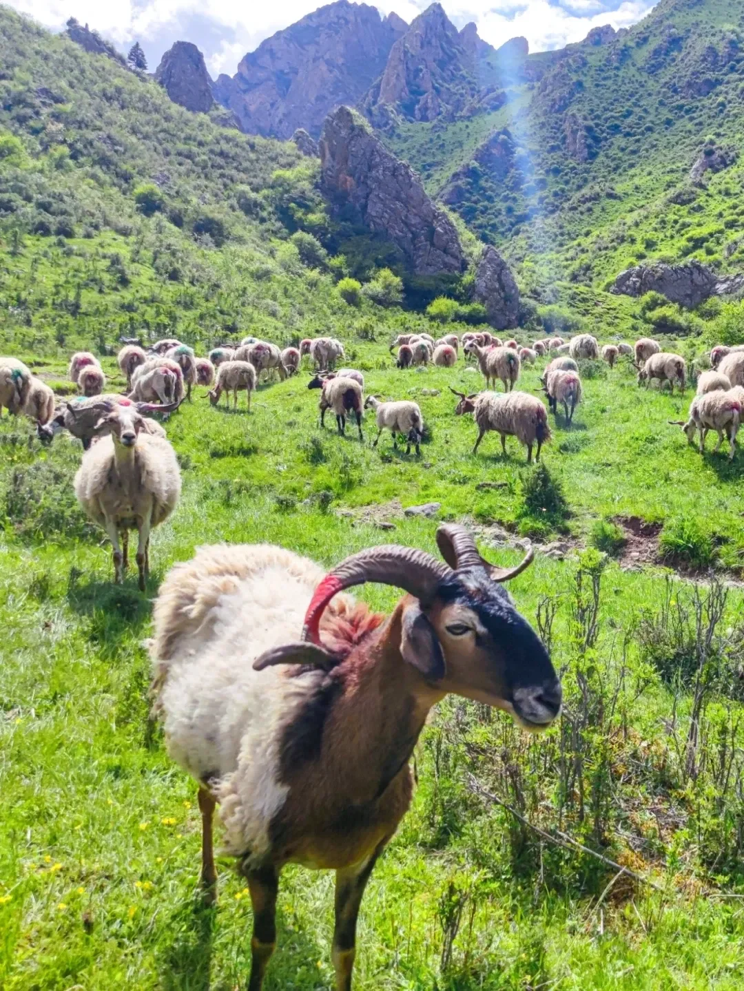 比西藏便宜5倍,一个被低估的冷门旅行地