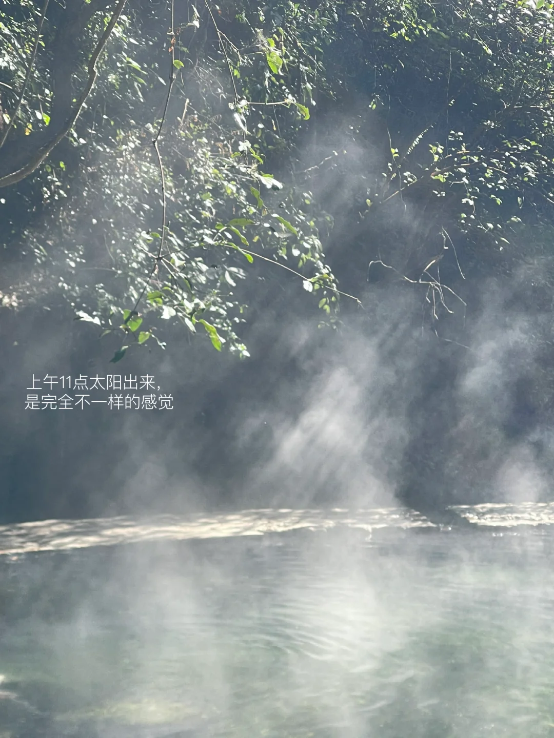 一条足够野的泡汤路线，腾冲芒市之旅