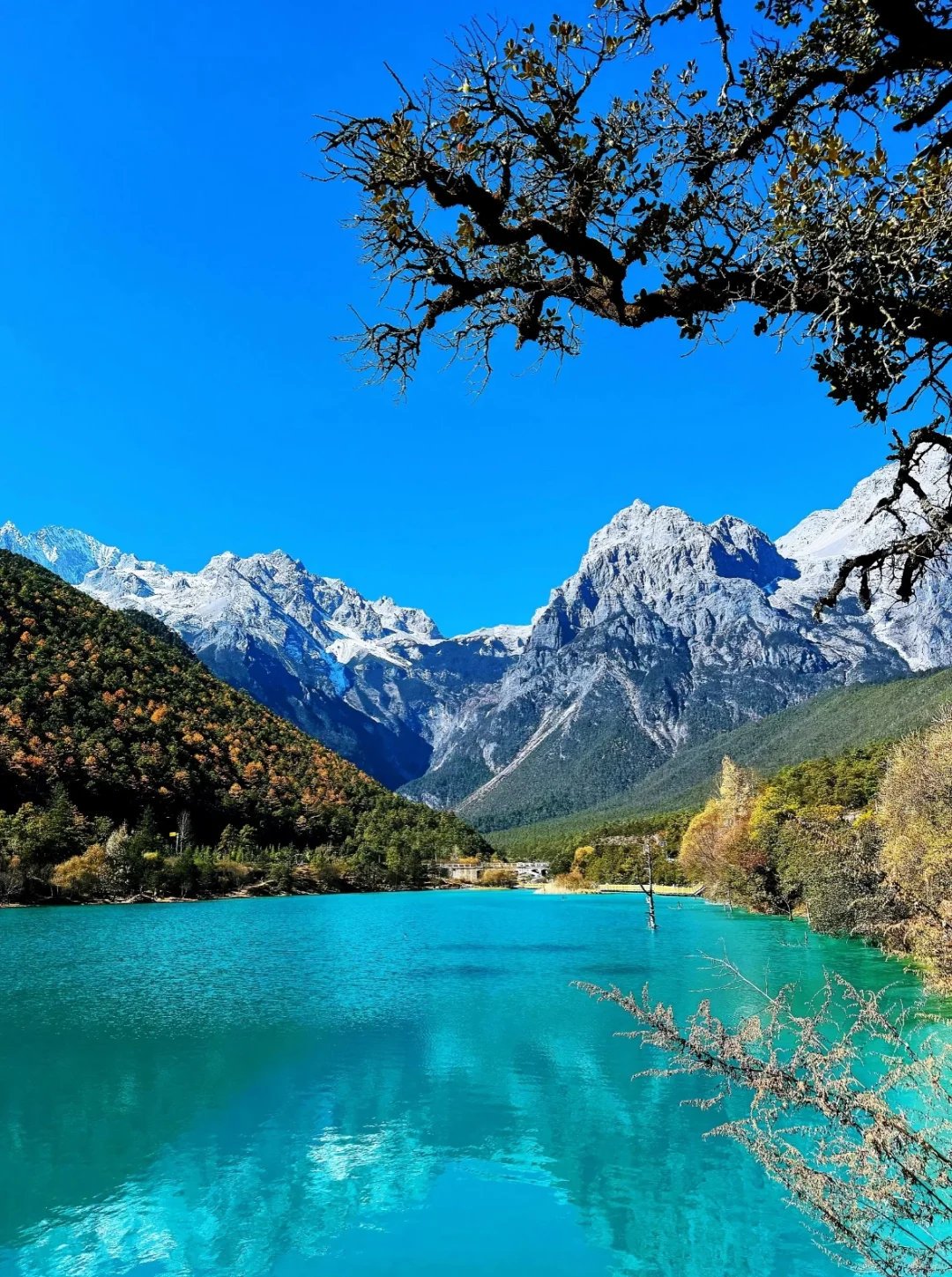 🌟高考结束撒欢去！必看这九个地方（附💰）