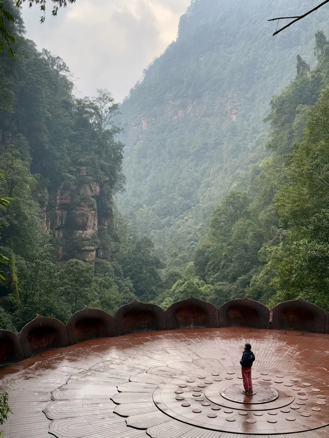 为了这一组live!我飞了一趟贵州!值得吗?