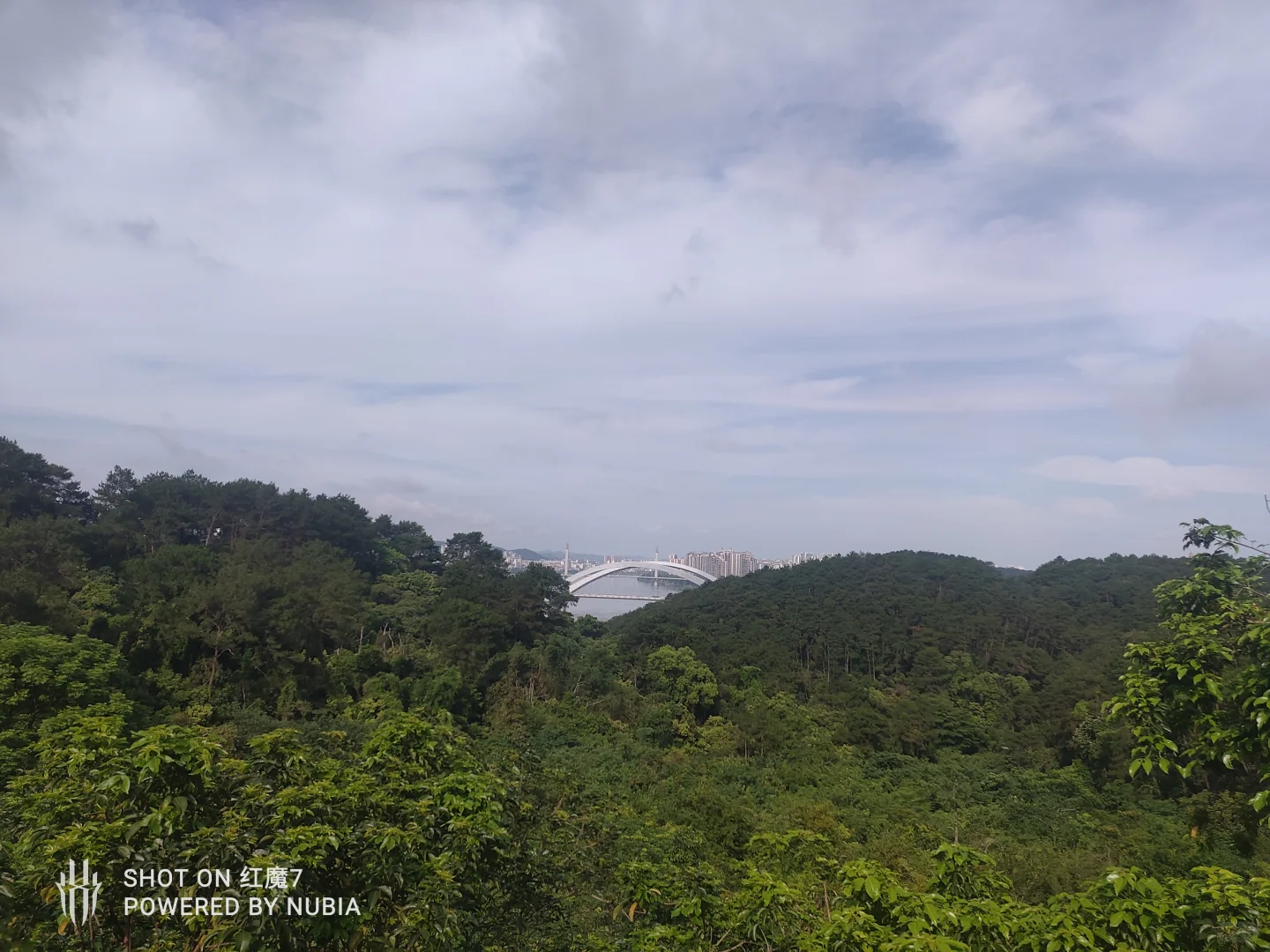 南宁行记（四）