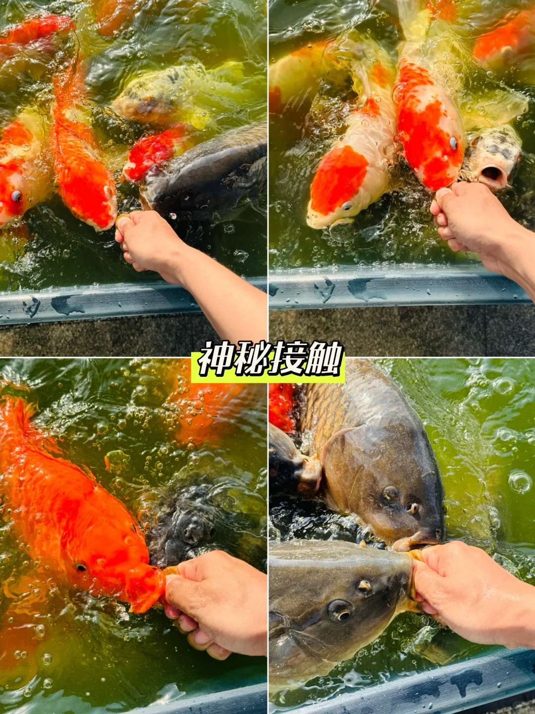 北京出发2h，人少又好玩的休闲目的地