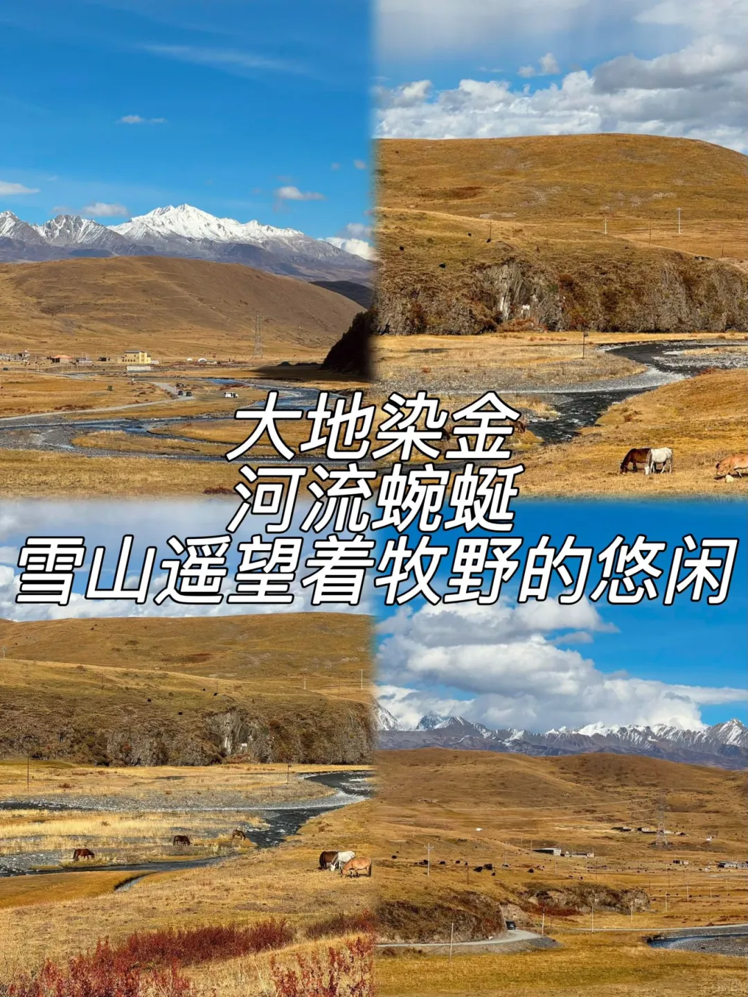 康定必打卡景点 | 邂逅川西浪漫💕